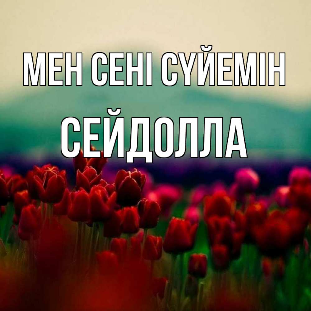 Күн сайын ашық хат с именем, СЕЙДОЛЛА Мен сені сүйемін тюльпаны 4 Онлайн тегін жүктеп алу тілектері бар керемет карта 
