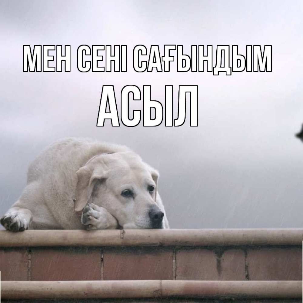 Күн сайын ашық хат с именем, АСЫЛ Мен сені сағындым ждет Онлайн тегін жүктеп алу тілектері бар керемет карта 