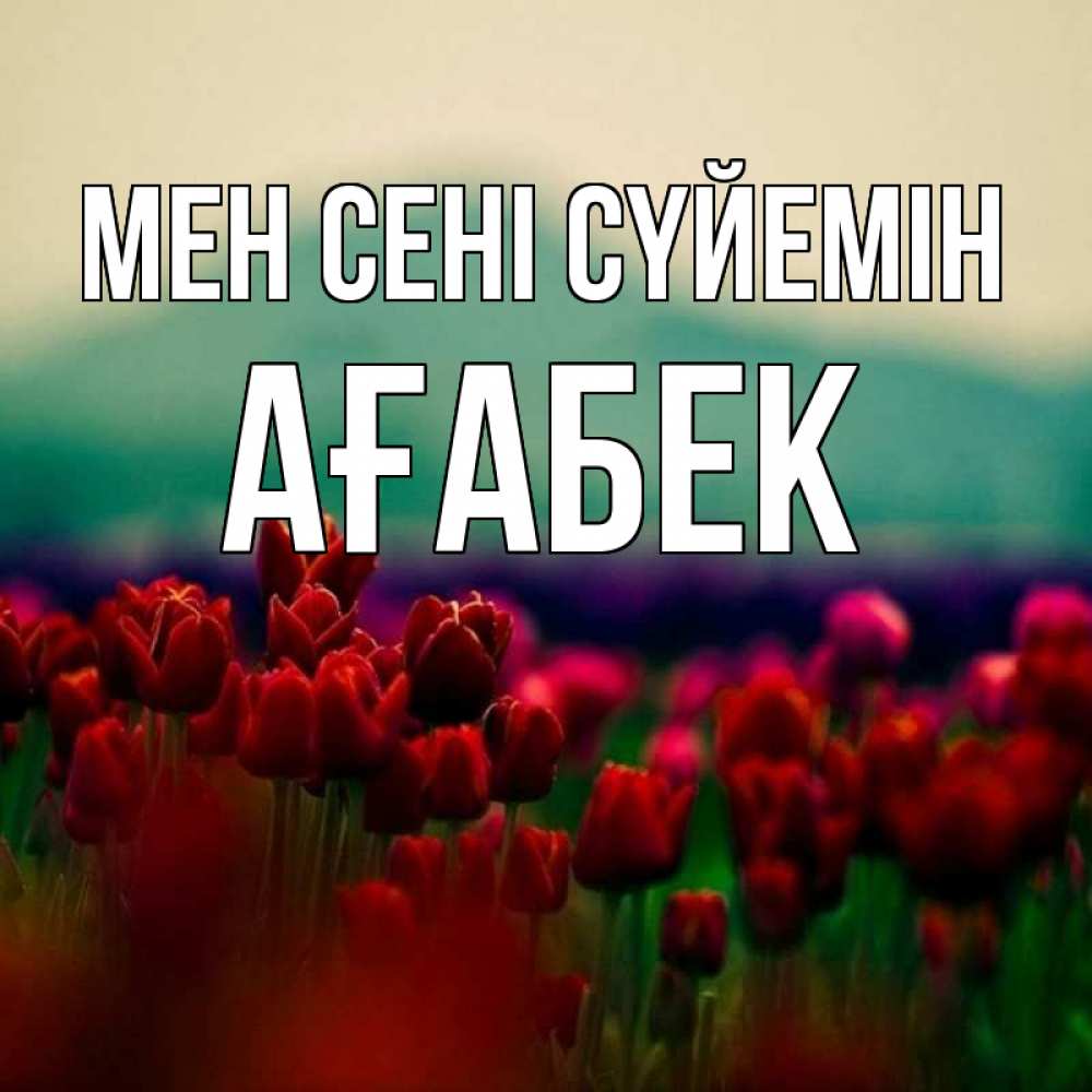 Күн сайын ашық хат с именем, Ағабек Мен сені сүйемін тюльпаны 4 Онлайн тегін жүктеп алу тілектері бар керемет карта 
