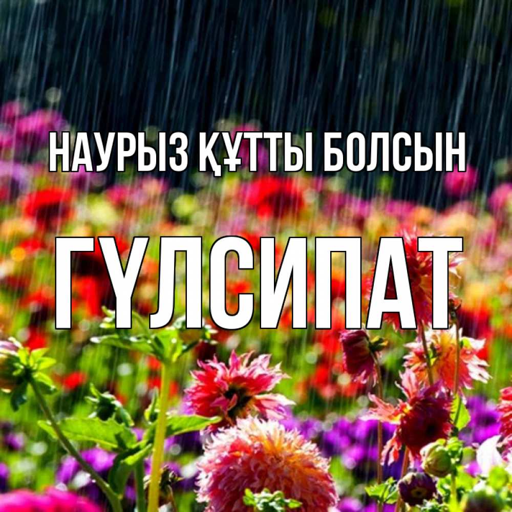 Күн сайын ашық хат с именем, ГҮЛСИПАТ Наурыз құтты болсын цветы под дождиком к наурызу Онлайн тегін жүктеп алу тілектері бар керемет карта 