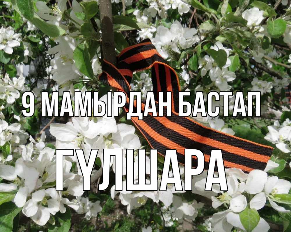 Күн сайын ашық хат с именем, ГҮЛШАРА 9 мамырдан бастап 9 мая Онлайн тегін жүктеп алу тілектері бар керемет карта 