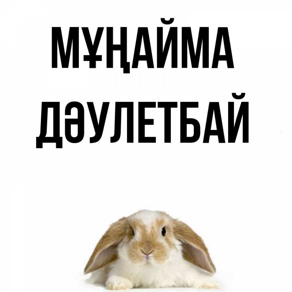 Күн сайын ашық хат с именем, Дәулетбай Мұңайма коричнево белый заяц с большими ушками Онлайн тегін жүктеп алу тілектері бар керемет карта 