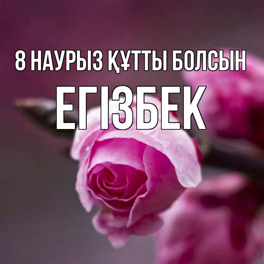 Күн сайын ашық хат с именем, Егізбек 8 наурыз құтты болсын весна Онлайн тегін жүктеп алу тілектері бар керемет карта 