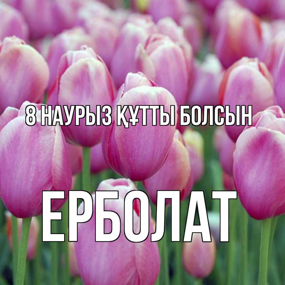 Күн сайын ашық хат с именем, Ерболат 8 наурыз құтты болсын на международный женский день 3 Онлайн тегін жүктеп алу тілектері бар керемет карта 