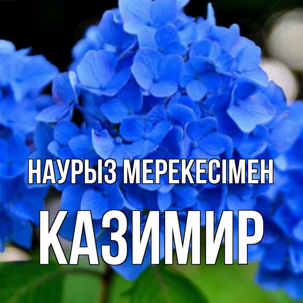 Күн сайын ашық хат с именем, Казимир Наурыз мерекесімен синие цветы Онлайн тегін жүктеп алу тілектері бар керемет карта 