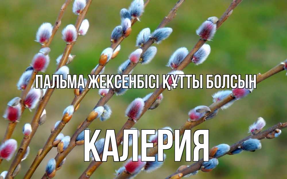 Күн сайын ашық хат с именем, Калерия Пальма жексенбісі құтты болсын верба Онлайн тегін жүктеп алу тілектері бар керемет карта 