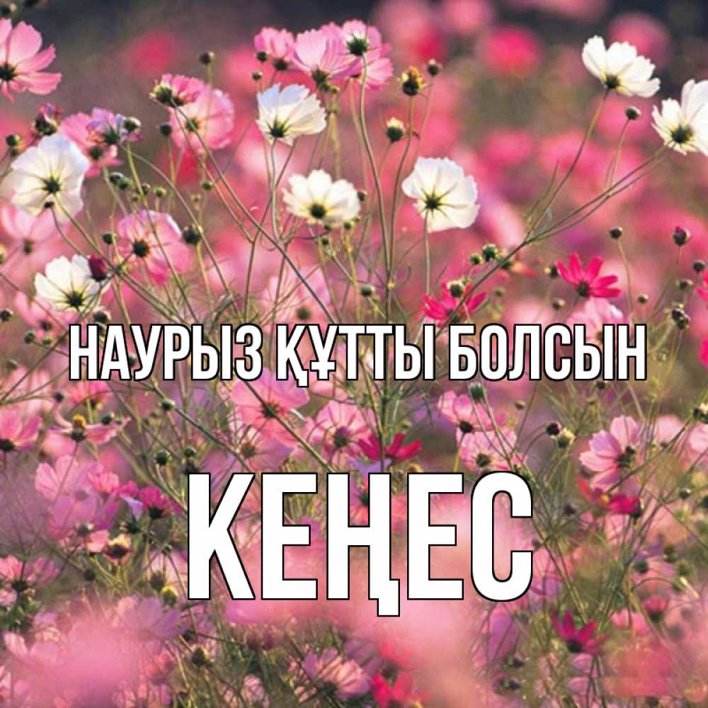 Күн сайын ашық хат с именем, Кеңес Наурыз құтты болсын красиво 1 Онлайн тегін жүктеп алу тілектері бар керемет карта 