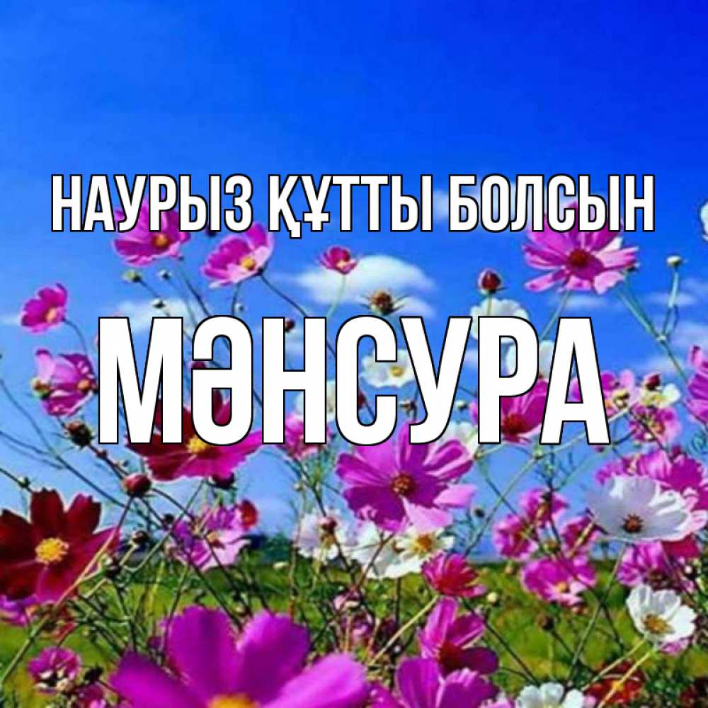 Күн сайын ашық хат с именем, МӘНСУРА Наурыз құтты болсын цветы Онлайн тегін жүктеп алу тілектері бар керемет карта 