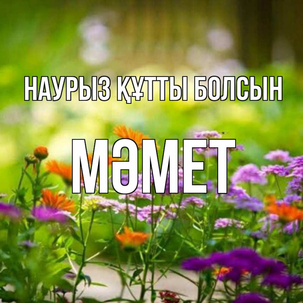 Күн сайын ашық хат с именем, Мәмет Наурыз құтты болсын цветы Онлайн тегін жүктеп алу тілектері бар керемет карта 
