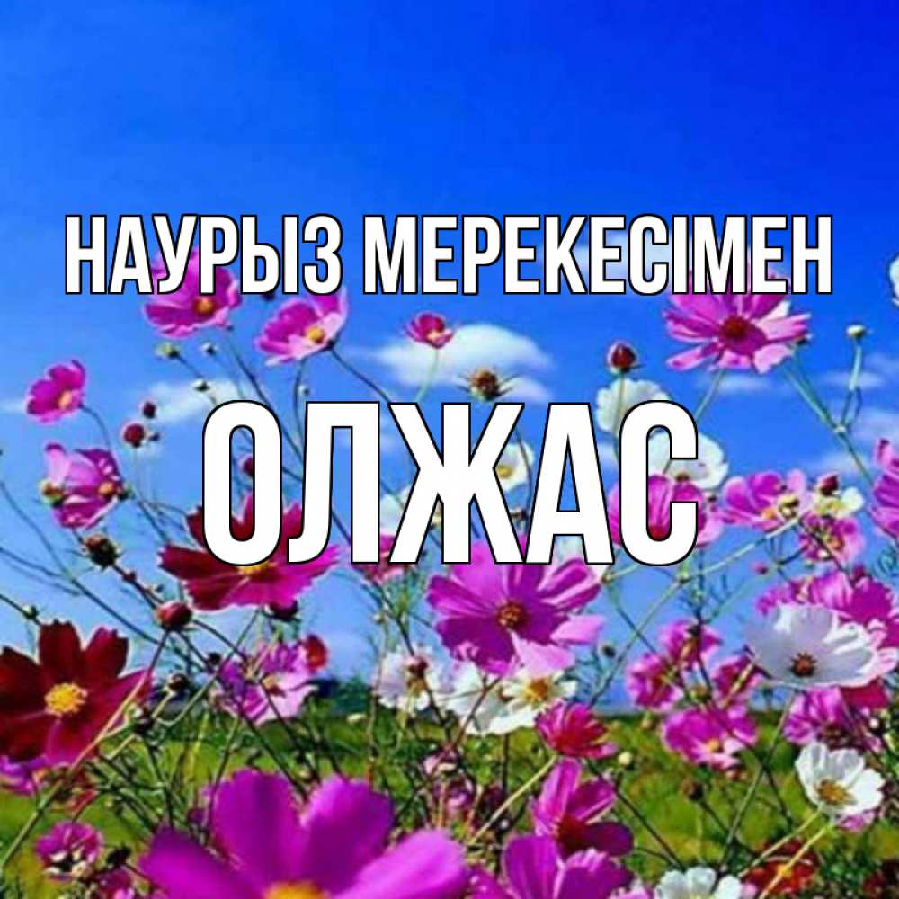 Күн сайын ашық хат с именем, ОЛЖАС Наурыз мерекесімен цветы Онлайн тегін жүктеп алу тілектері бар керемет карта 