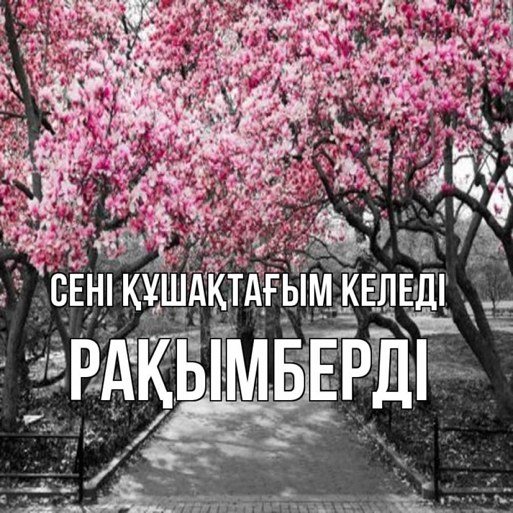 Күн сайын ашық хат с именем, Рақымберді сені құшақтағым келеді обработанное фото Онлайн тегін жүктеп алу тілектері бар керемет карта 