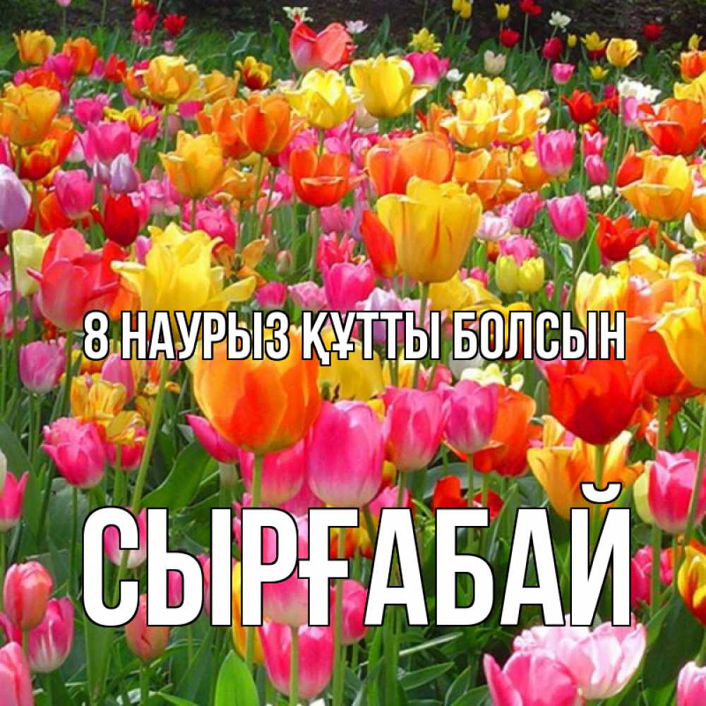 Күн сайын ашық хат с именем, СЫРҒАБАЙ 8 наурыз құтты болсын на международный женский день Онлайн тегін жүктеп алу тілектері бар керемет карта 