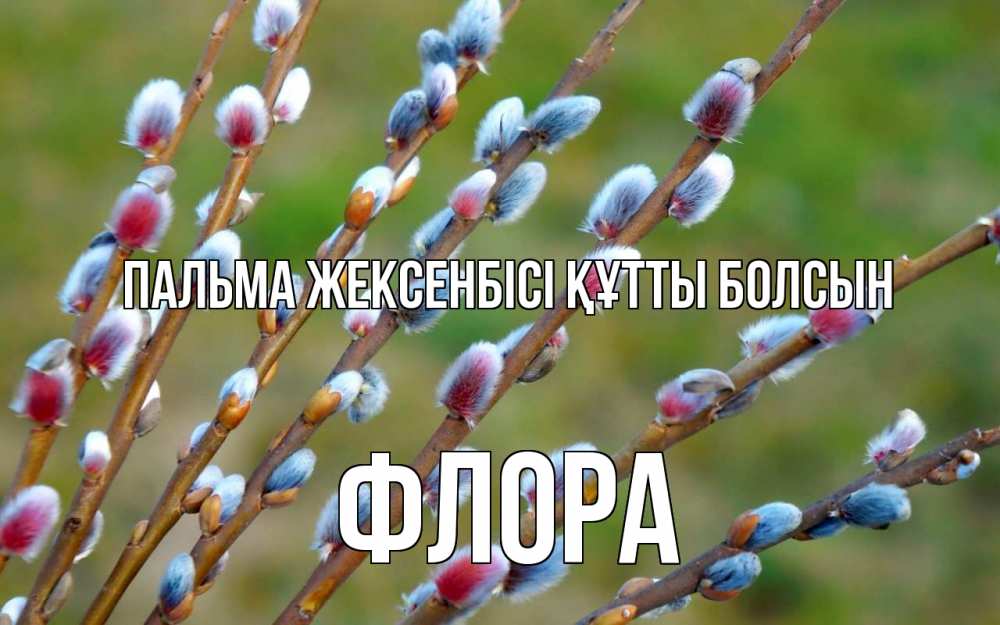 Күн сайын ашық хат с именем, Флора Пальма жексенбісі құтты болсын верба Онлайн тегін жүктеп алу тілектері бар керемет карта 
