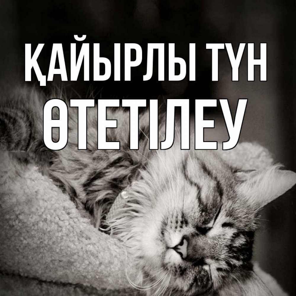 Күн сайын ашық хат с именем, ӨТЕТІЛЕУ Қайырлы түн котярик пушистый Онлайн тегін жүктеп алу тілектері бар керемет карта 