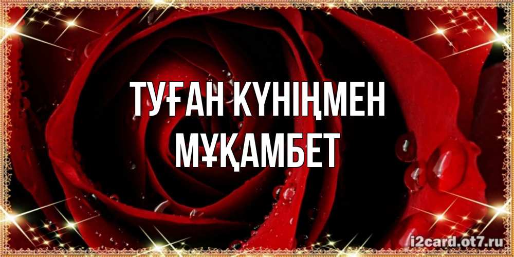 Күн сайын ашық хат с именем, МҰҚАМБЕТ Туған күніңмен цветок в росе на день рождения Онлайн тегін жүктеп алу тілектері бар керемет карта 