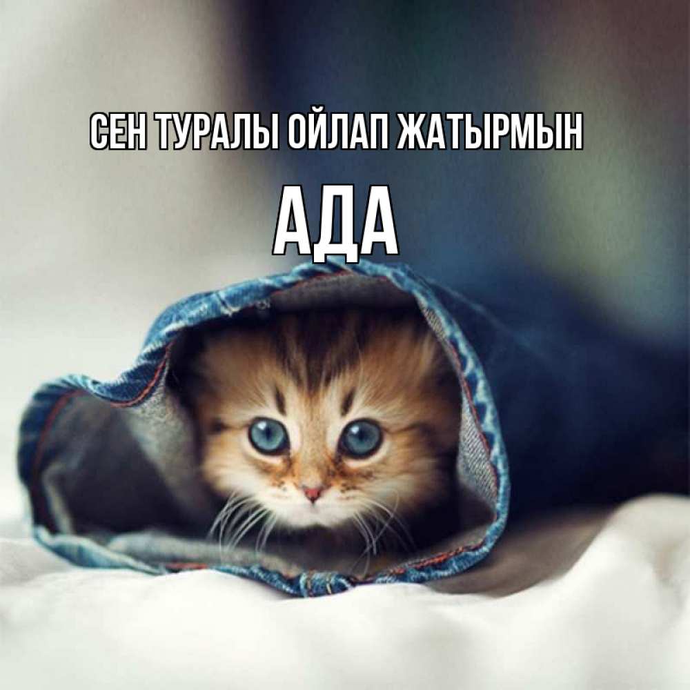 Күн сайын ашық хат с именем, Ада Сен туралы ойлап жатырмын мне без тебя плохо Онлайн тегін жүктеп алу тілектері бар керемет карта 