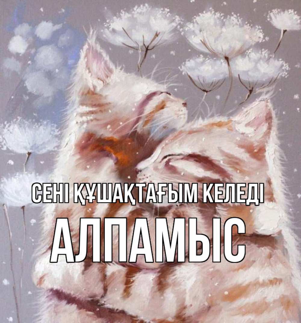 Күн сайын ашық хат с именем, Алпамыс сені құшақтағым келеді Море и горы Онлайн тегін жүктеп алу тілектері бар керемет карта 