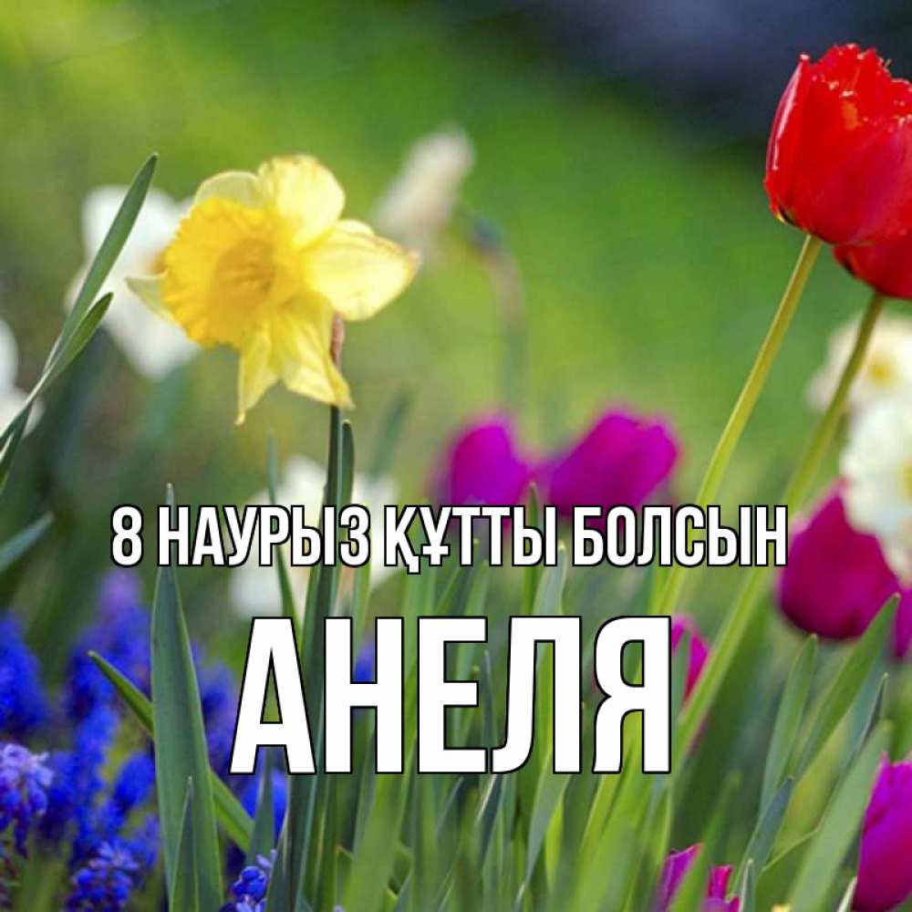 Күн сайын ашық хат с именем, Анеля 8 наурыз құтты болсын международный женский день 3 Онлайн тегін жүктеп алу тілектері бар керемет карта 