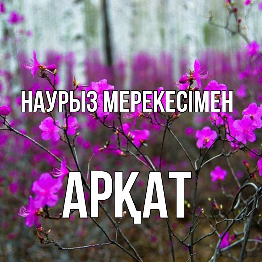 Күн сайын ашық хат с именем, Арқат Наурыз мерекесімен дикие цветы Онлайн тегін жүктеп алу тілектері бар керемет карта 