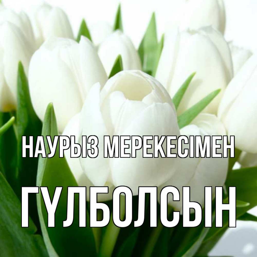 Күн сайын ашық хат с именем, ГҮЛБОЛСЫН Наурыз мерекесімен цветы Онлайн тегін жүктеп алу тілектері бар керемет карта 