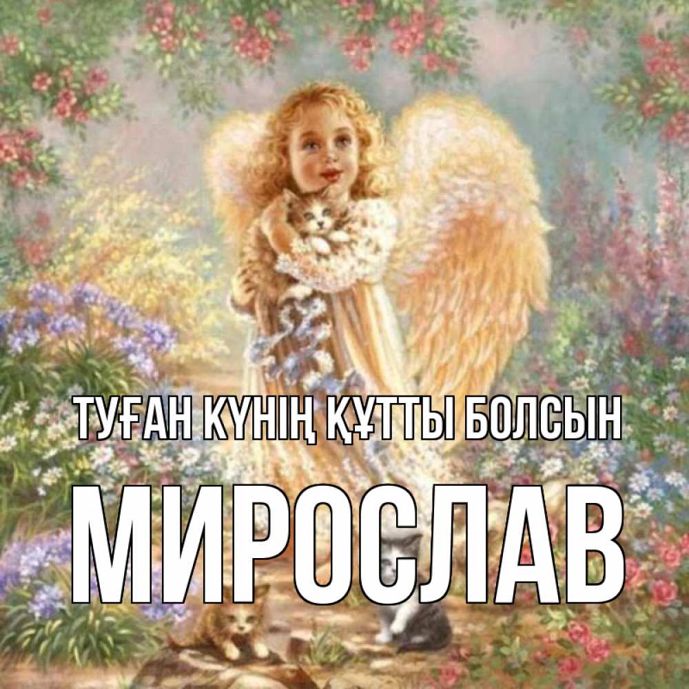 Күн сайын ашық хат с именем, Мирослав Туған күнің құтты болсын держит котенка Онлайн тегін жүктеп алу тілектері бар керемет карта 