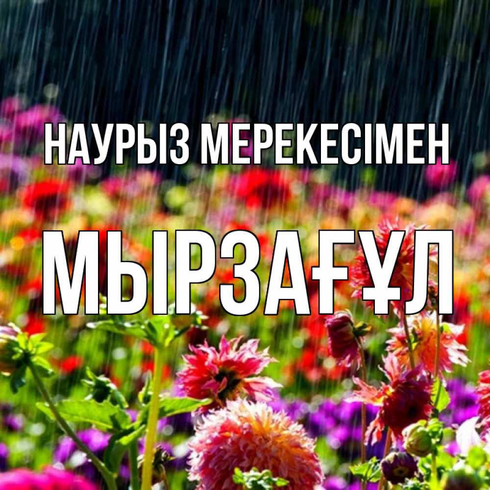 Күн сайын ашық хат с именем, Мырзағұл Наурыз мерекесімен цветы под дождиком к международному женскому дню Онлайн тегін жүктеп алу тілектері бар керемет карта 