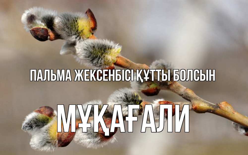 Күн сайын ашық хат с именем, МҰҚАҒАЛИ Пальма жексенбісі құтты болсын Верба Онлайн тегін жүктеп алу тілектері бар керемет карта 