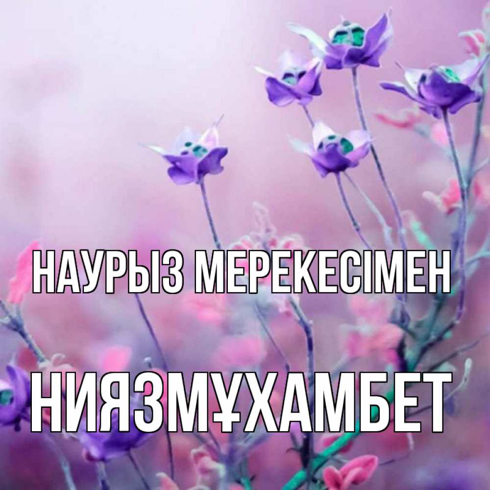 Күн сайын ашық хат с именем, НИЯЗМҰХАМБЕТ Наурыз мерекесімен международный женский день 2 Онлайн тегін жүктеп алу тілектері бар керемет карта 
