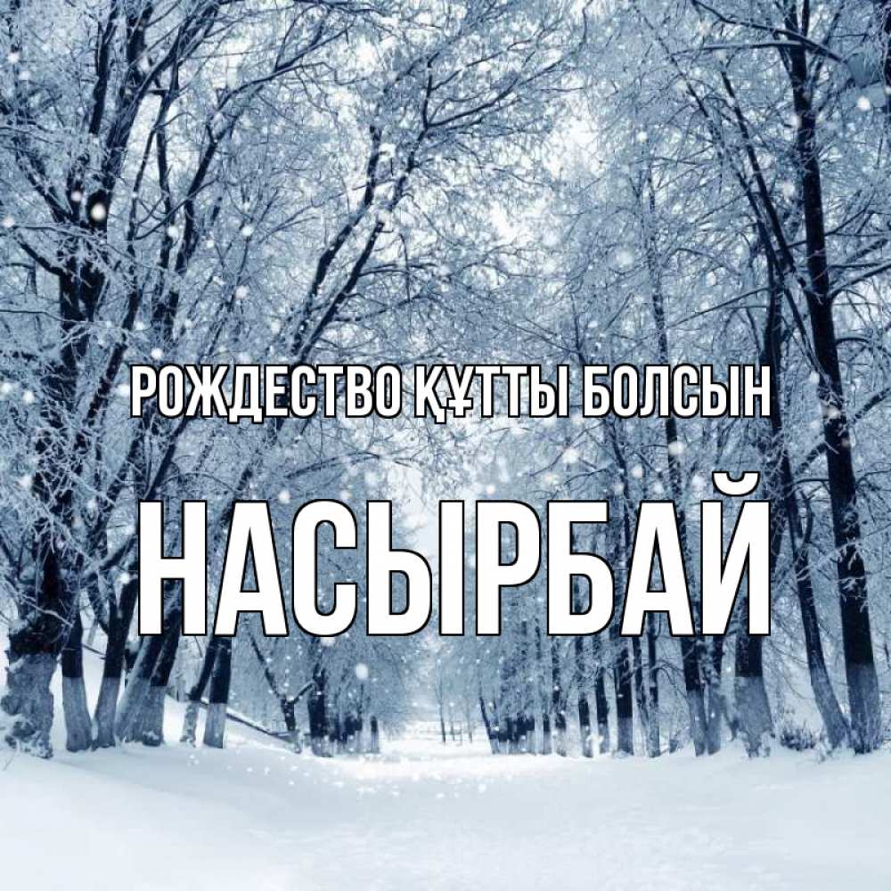 Күн сайын ашық хат с именем, Насырбай Рождество құтты болсын снег, лес, парк Онлайн тегін жүктеп алу тілектері бар керемет карта 