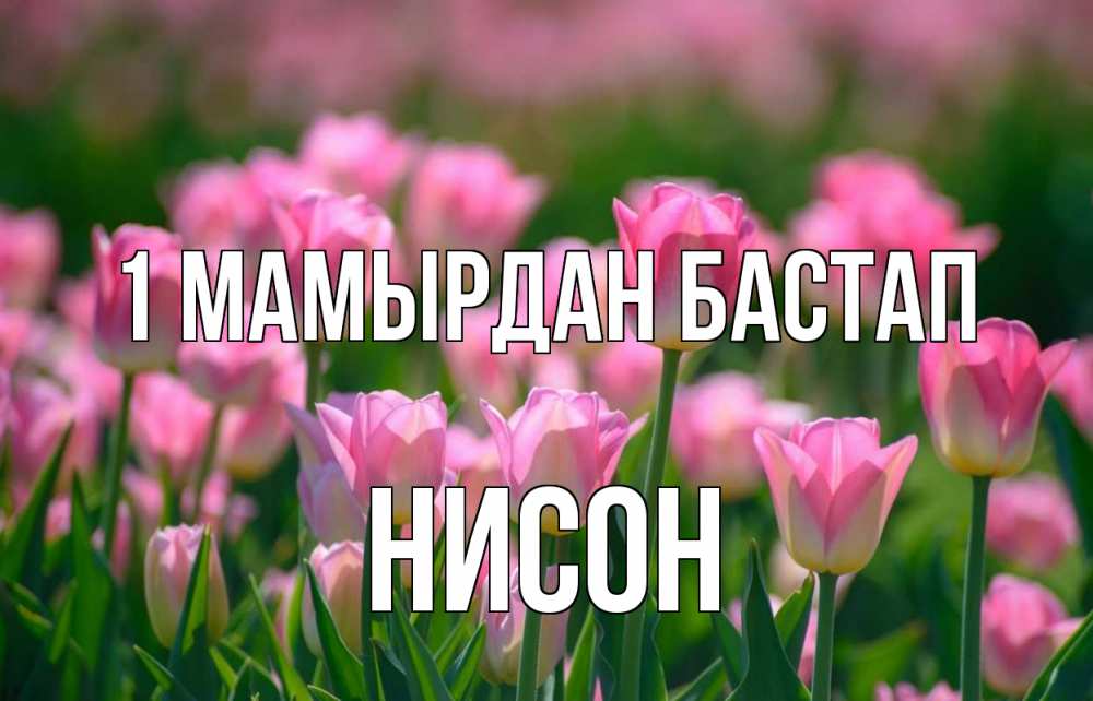 Күн сайын ашық хат с именем, Нисон 1 мамырдан бастап С 1 мая Онлайн тегін жүктеп алу тілектері бар керемет карта 
