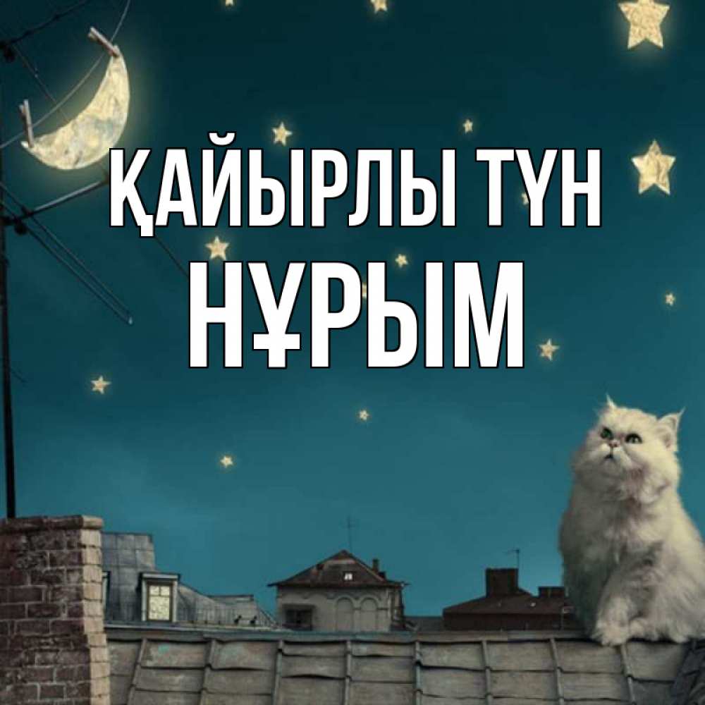 Күн сайын ашық хат с именем, Нұрым Қайырлы түн белый кот сидит на крыше Онлайн тегін жүктеп алу тілектері бар керемет карта 