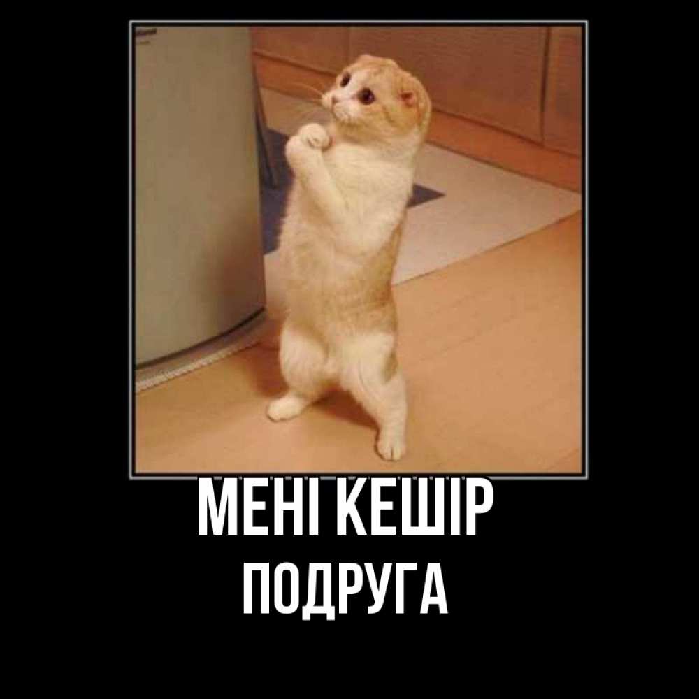 Күн сайын ашық хат с именем, Подруга Мені кешір открытка с милым несчастным котиком просящим прощения Онлайн тегін жүктеп алу тілектері бар керемет карта 