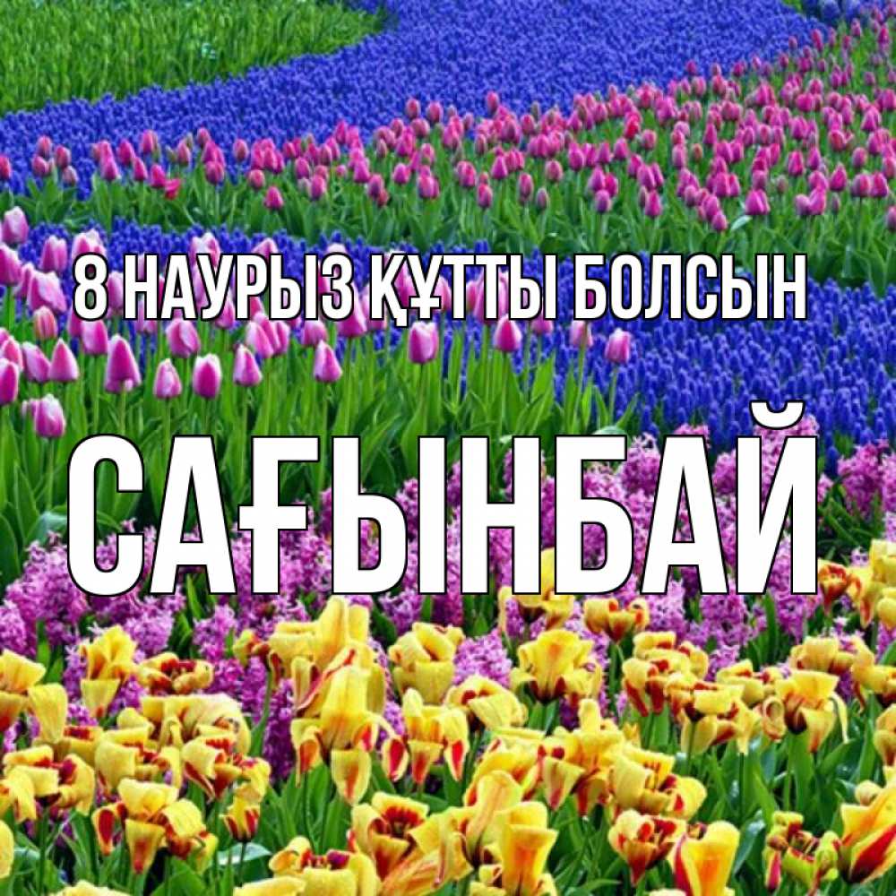 Күн сайын ашық хат с именем, Сағынбай 8 наурыз құтты болсын цветы Онлайн тегін жүктеп алу тілектері бар керемет карта 