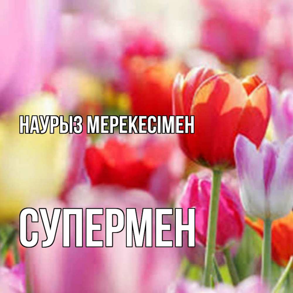 Күн сайын ашық хат с именем, Супермен Наурыз мерекесімен праздник весны наурыз 67 Онлайн тегін жүктеп алу тілектері бар керемет карта 