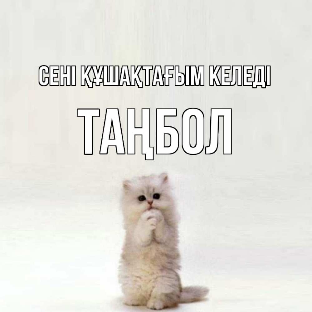 Күн сайын ашық хат с именем, ТАҢБОЛ сені құшақтағым келеді открытки с креативными подписями Онлайн тегін жүктеп алу тілектері бар керемет карта 