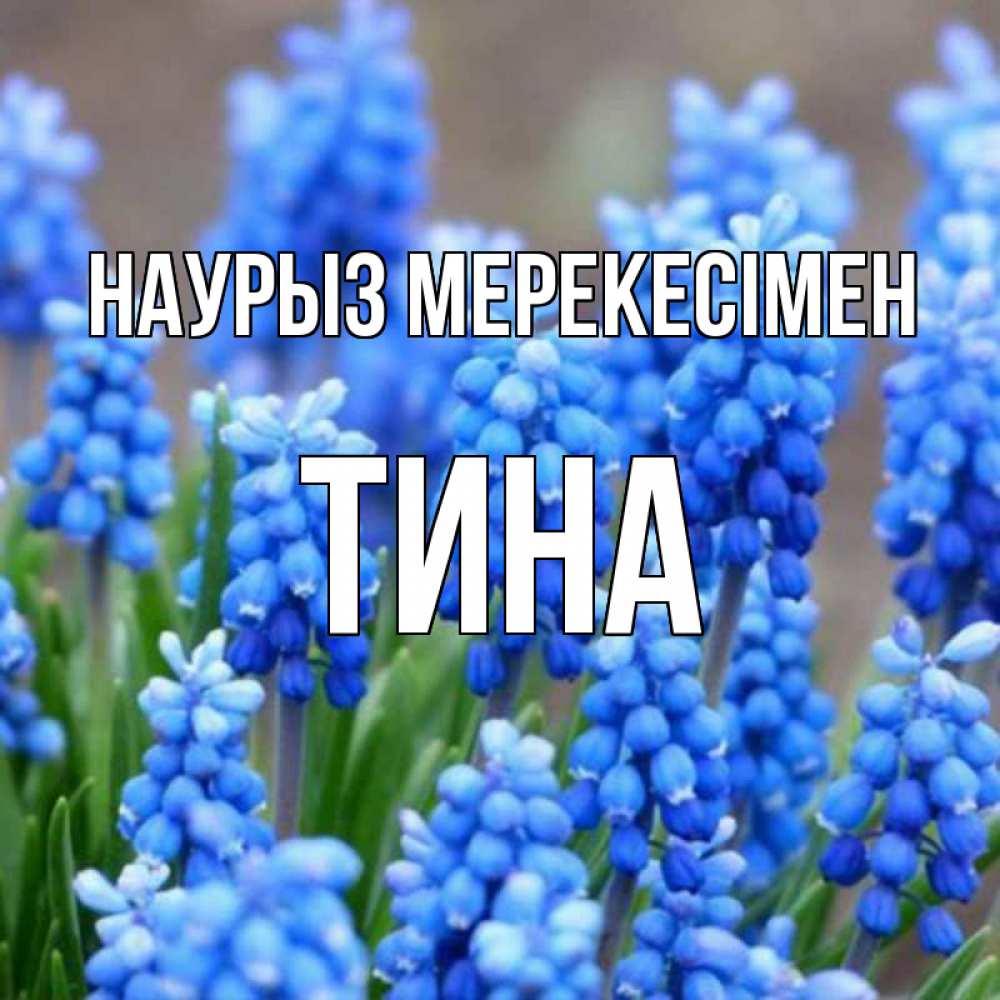 Күн сайын ашық хат с именем, Тина Наурыз мерекесімен Поздравительная открытка для женщин с цветами на праздничную дату Онлайн тегін жүктеп алу тілектері бар керемет карта 
