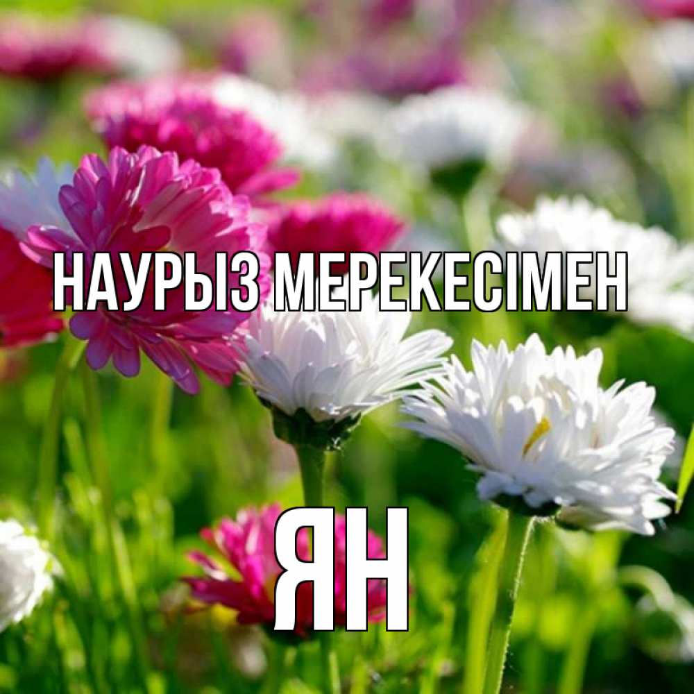 Күн сайын ашық хат с именем, Ян Наурыз мерекесімен праздник весны наурыз красота Онлайн тегін жүктеп алу тілектері бар керемет карта 