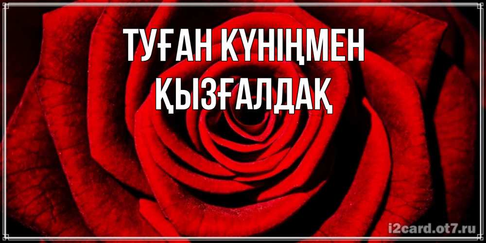 Күн сайын ашық хат с именем, ҚЫЗҒАЛДАҚ Туған күніңмен алая роза Онлайн тегін жүктеп алу тілектері бар керемет карта 