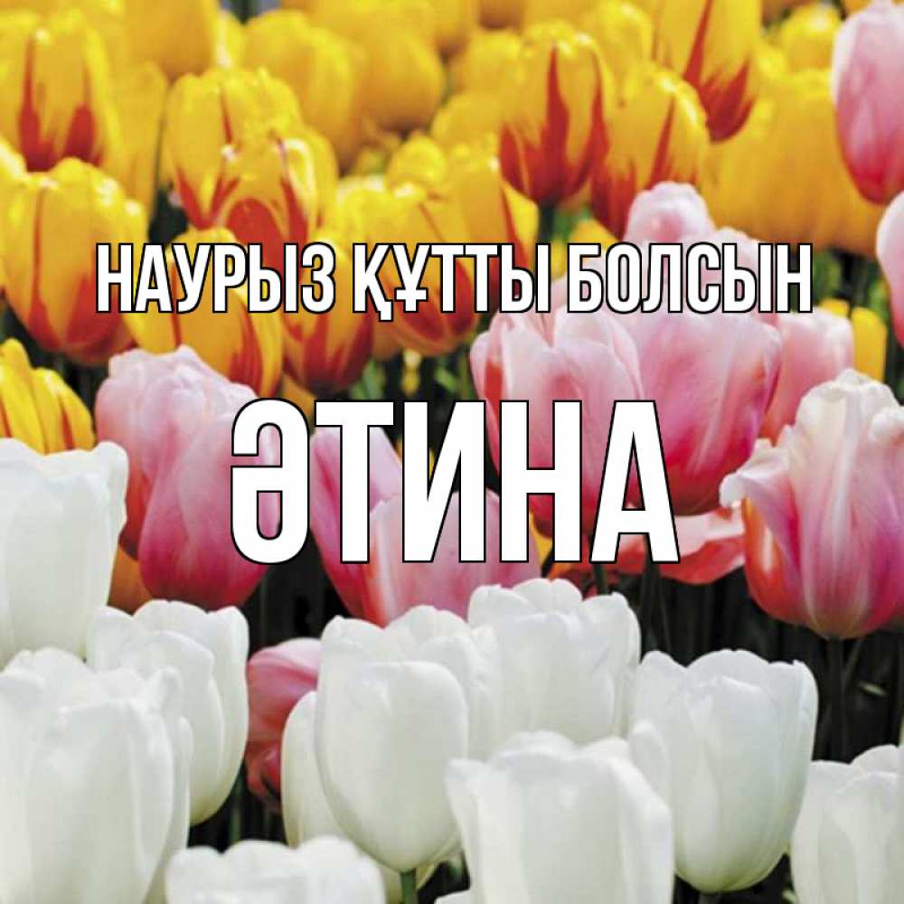 Күн сайын ашық хат с именем, ӘТИНА Наурыз құтты болсын разноцветные цветы Онлайн тегін жүктеп алу тілектері бар керемет карта 