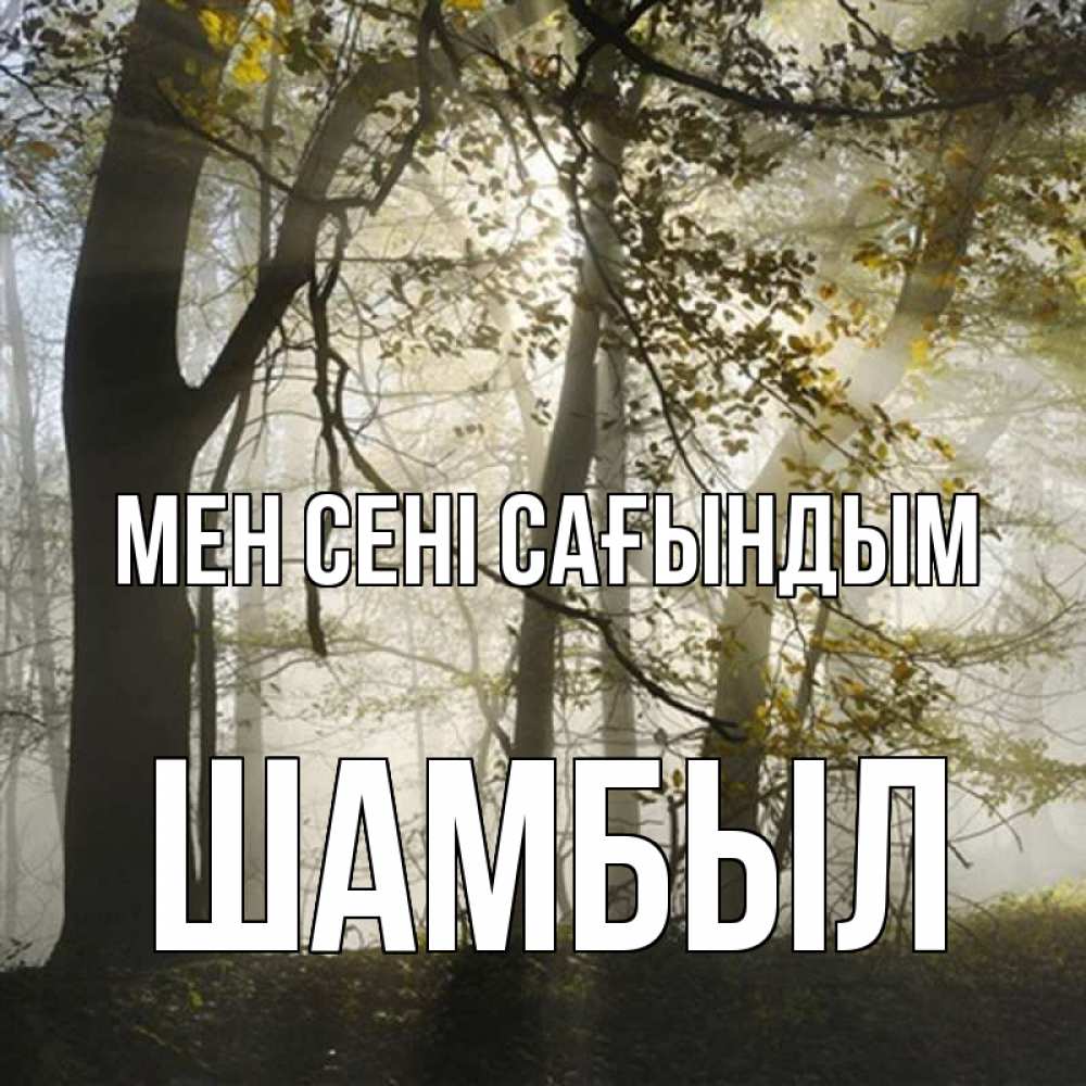 Күн сайын ашық хат с именем, ШАМБЫЛ Мен сені сағындым грустно Онлайн тегін жүктеп алу тілектері бар керемет карта 