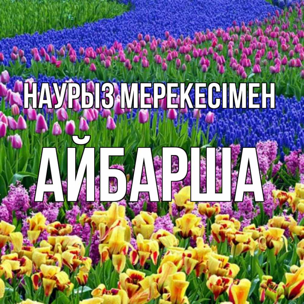 Күн сайын ашық хат с именем, АЙБАРША Наурыз мерекесімен цветы Онлайн тегін жүктеп алу тілектері бар керемет карта 