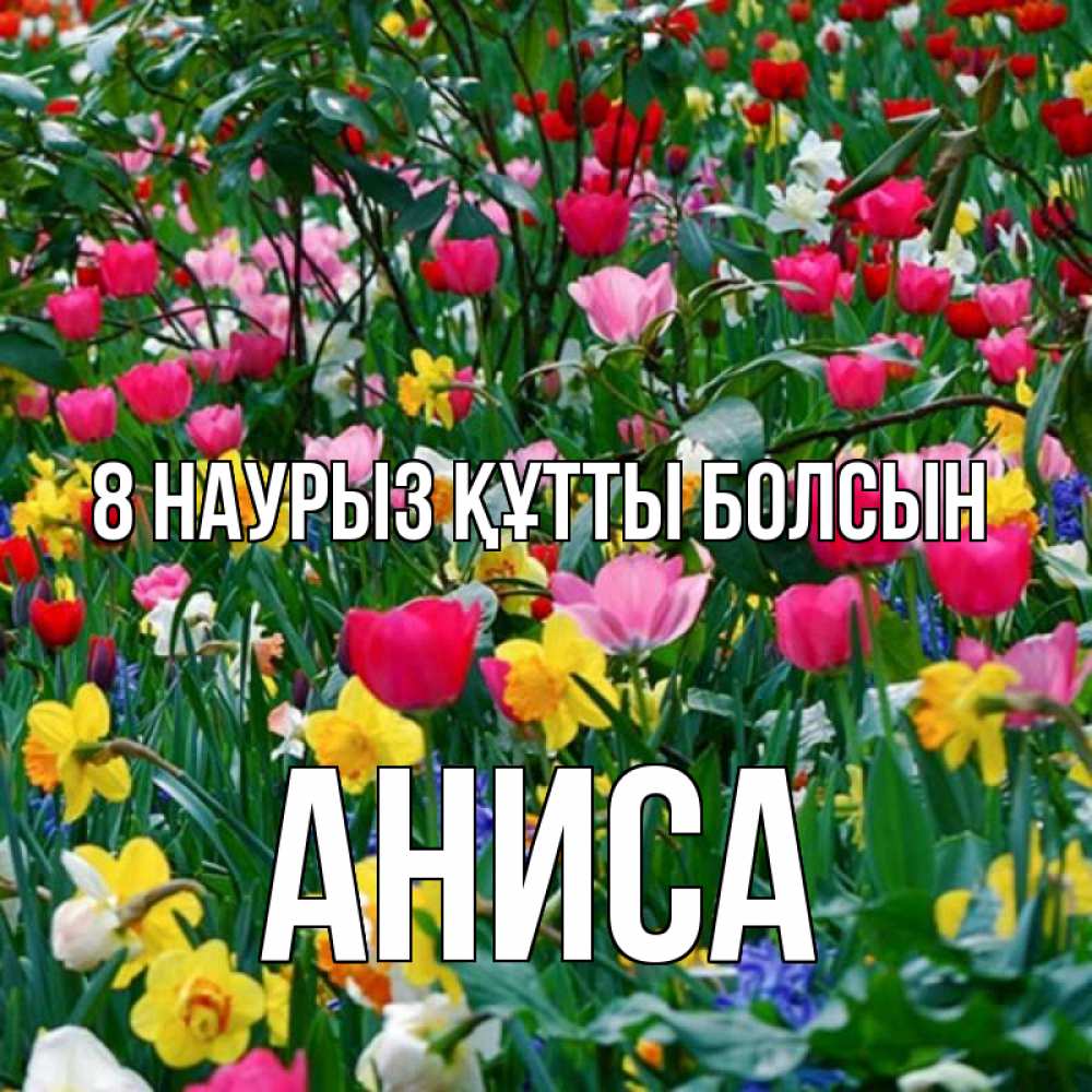 Күн сайын ашық хат с именем, АНИСА 8 наурыз құтты болсын с международным женским днем поздравления для женщины Онлайн тегін жүктеп алу тілектері бар керемет карта 