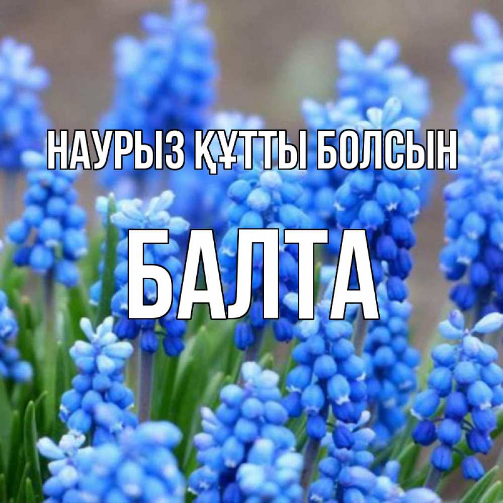 Күн сайын ашық хат с именем, Балта Наурыз құтты болсын Поздравительная открытка для женщин с цветами на праздничную дату Онлайн тегін жүктеп алу тілектері бар керемет карта 