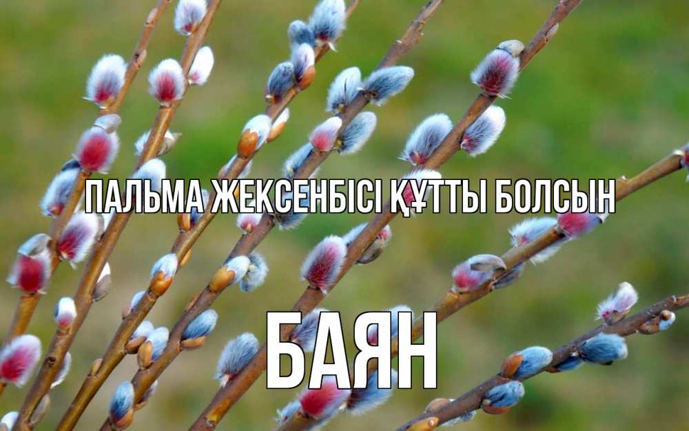 Күн сайын ашық хат с именем, Баян Пальма жексенбісі құтты болсын верба Онлайн тегін жүктеп алу тілектері бар керемет карта 
