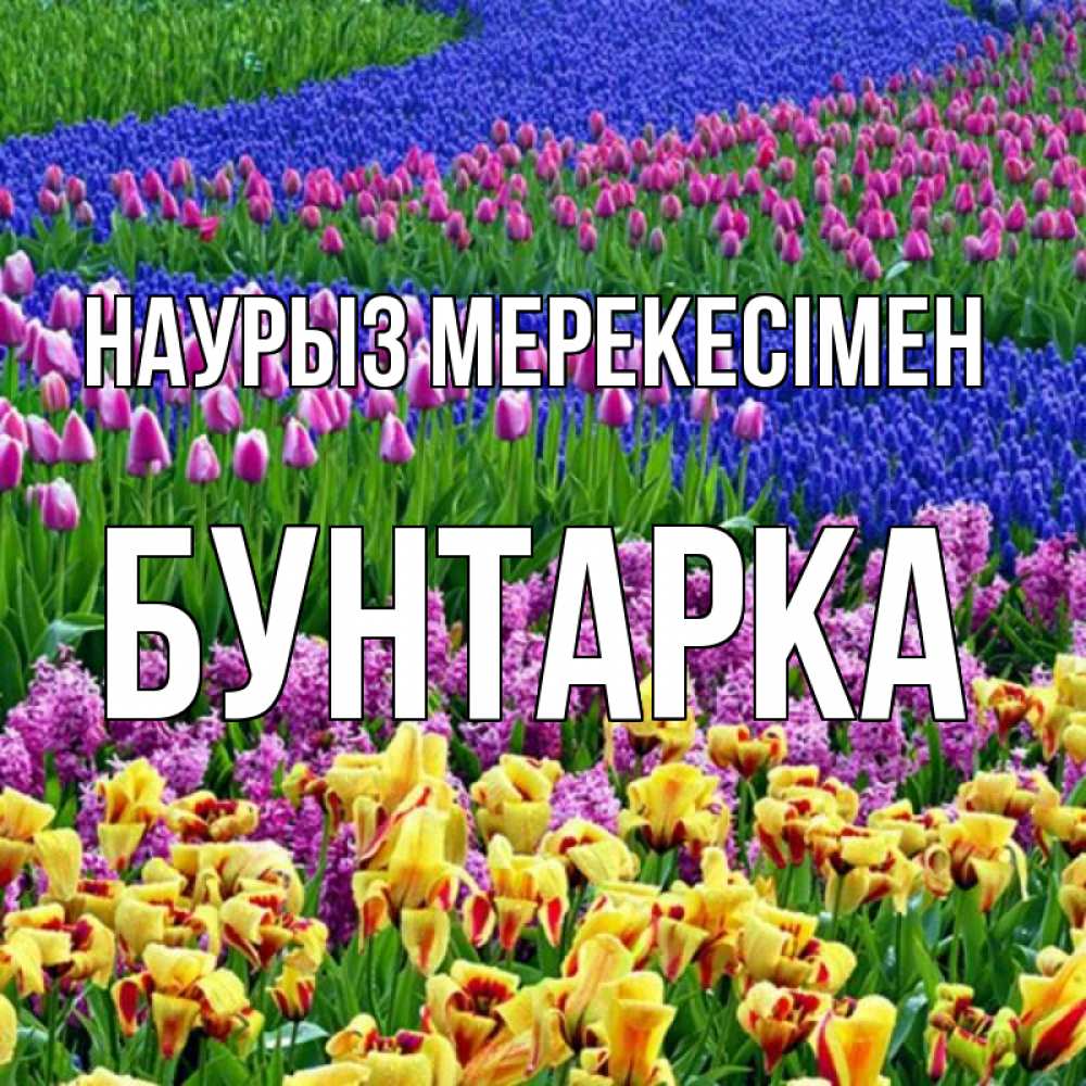 Күн сайын ашық хат с именем, Бунтарка Наурыз мерекесімен цветы Онлайн тегін жүктеп алу тілектері бар керемет карта 