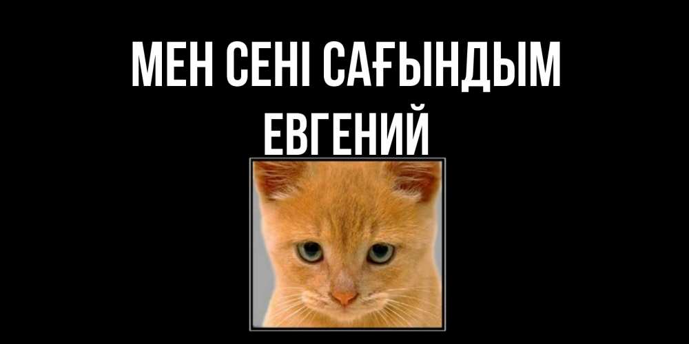 Күн сайын ашық хат с именем, Евгений Мен сені сағындым открытки рыжий котенок скучает по тебе Онлайн тегін жүктеп алу тілектері бар керемет карта 