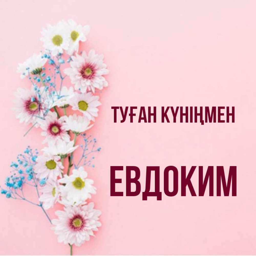 Күн сайын ашық хат с именем, Евдоким Туған күніңмен Родная моя с днем рождения тебя картинка с цветами белыми и голубыми Онлайн тегін жүктеп алу тілектері бар керемет карта 