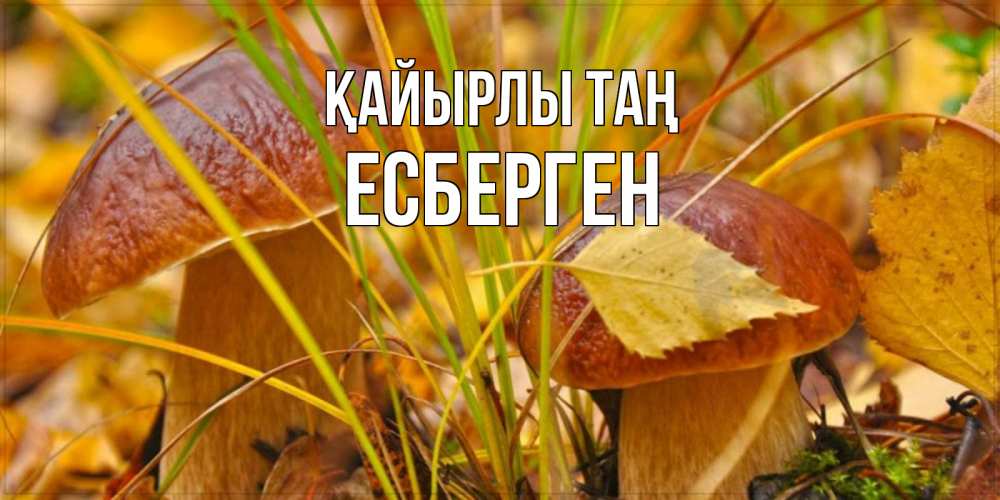 Күн сайын ашық хат с именем, Есберген Қайырлы таң осенние грибы Онлайн тегін жүктеп алу тілектері бар керемет карта 