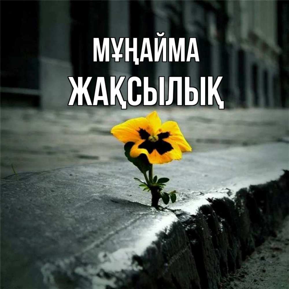 Күн сайын ашық хат с именем, Жақсылық Мұңайма не сдавайся Онлайн тегін жүктеп алу тілектері бар керемет карта 