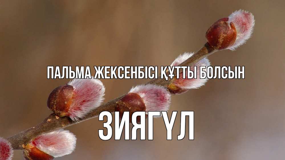 Күн сайын ашық хат с именем, ЗИЯГҮЛ Пальма жексенбісі құтты болсын верба Онлайн тегін жүктеп алу тілектері бар керемет карта 